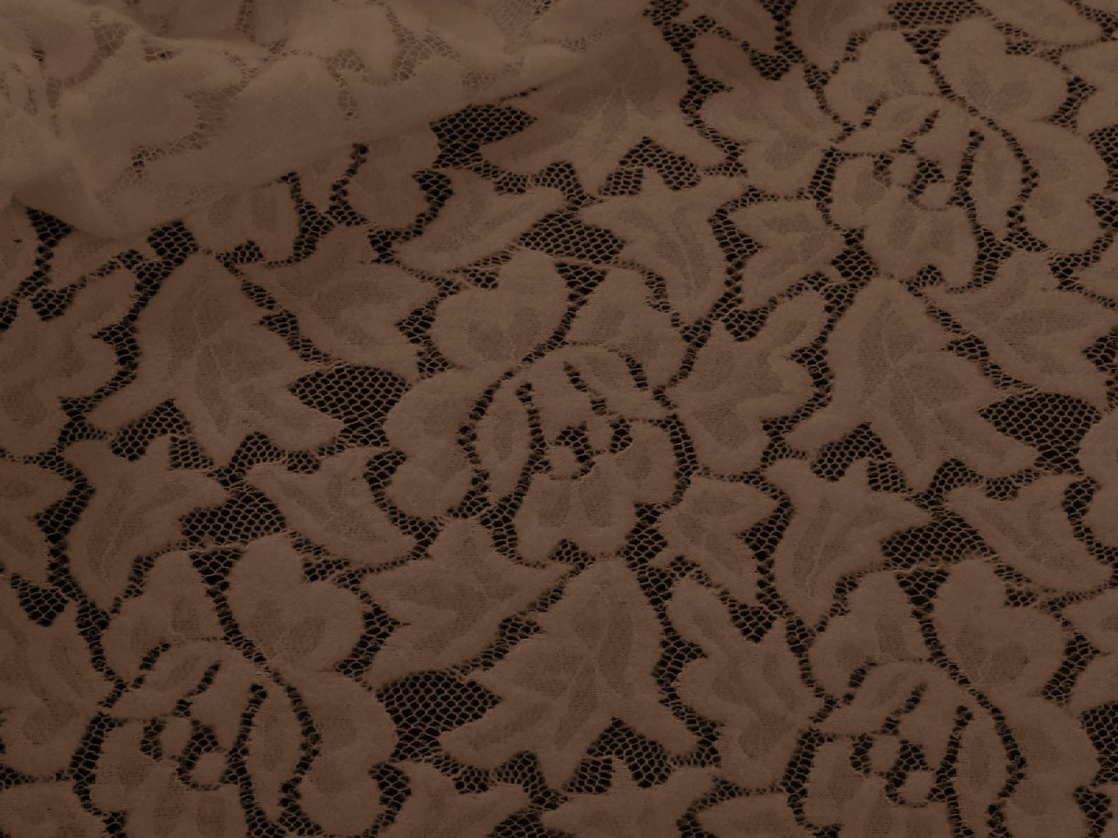 IMAGE_L