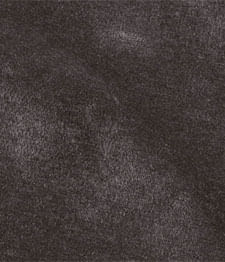 IMAGE_T