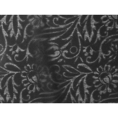 IMAGE-L