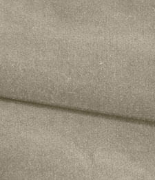 IMAGE-T