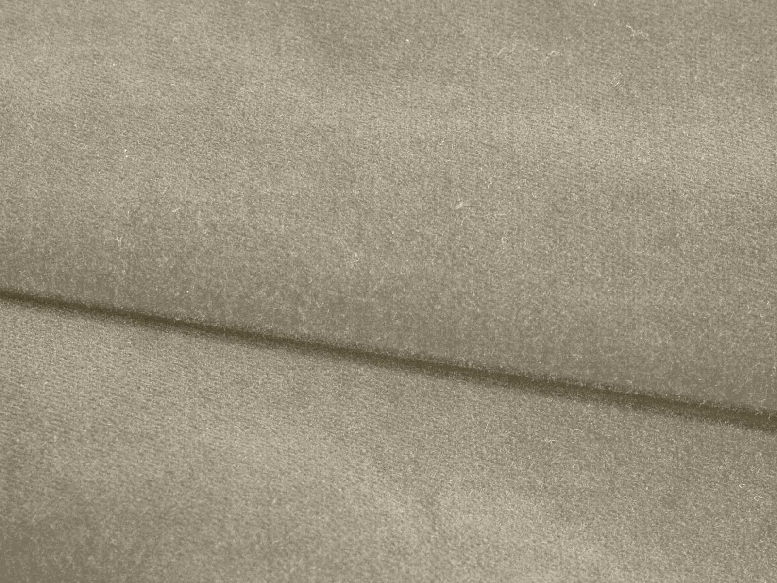 IMAGE-L