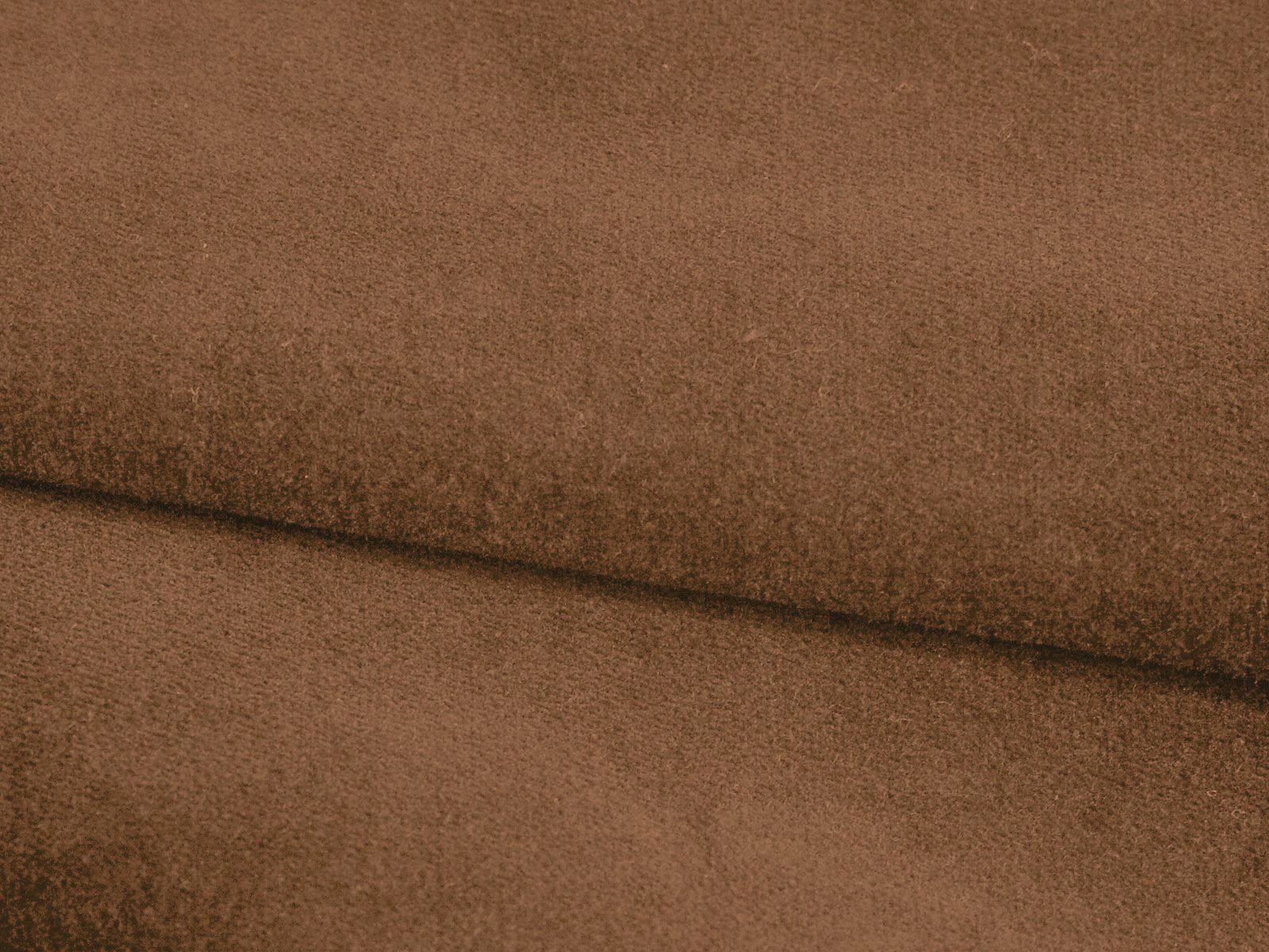 IMAGE-L