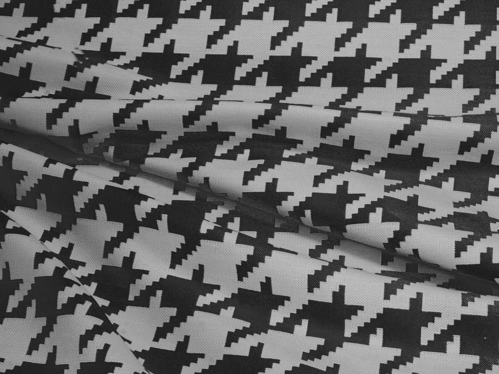 IMAGE-L