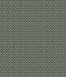 IMAGE-T