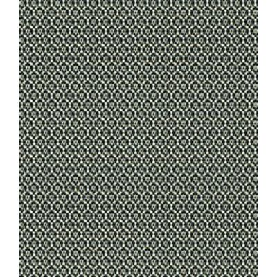 IMAGE-T