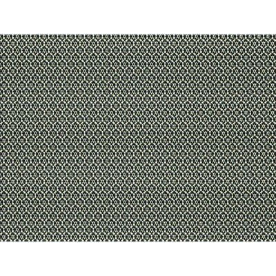 IMAGE-L