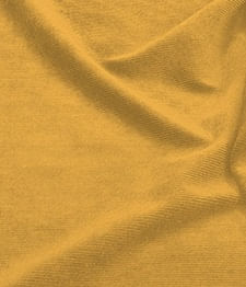 IMAGE-T