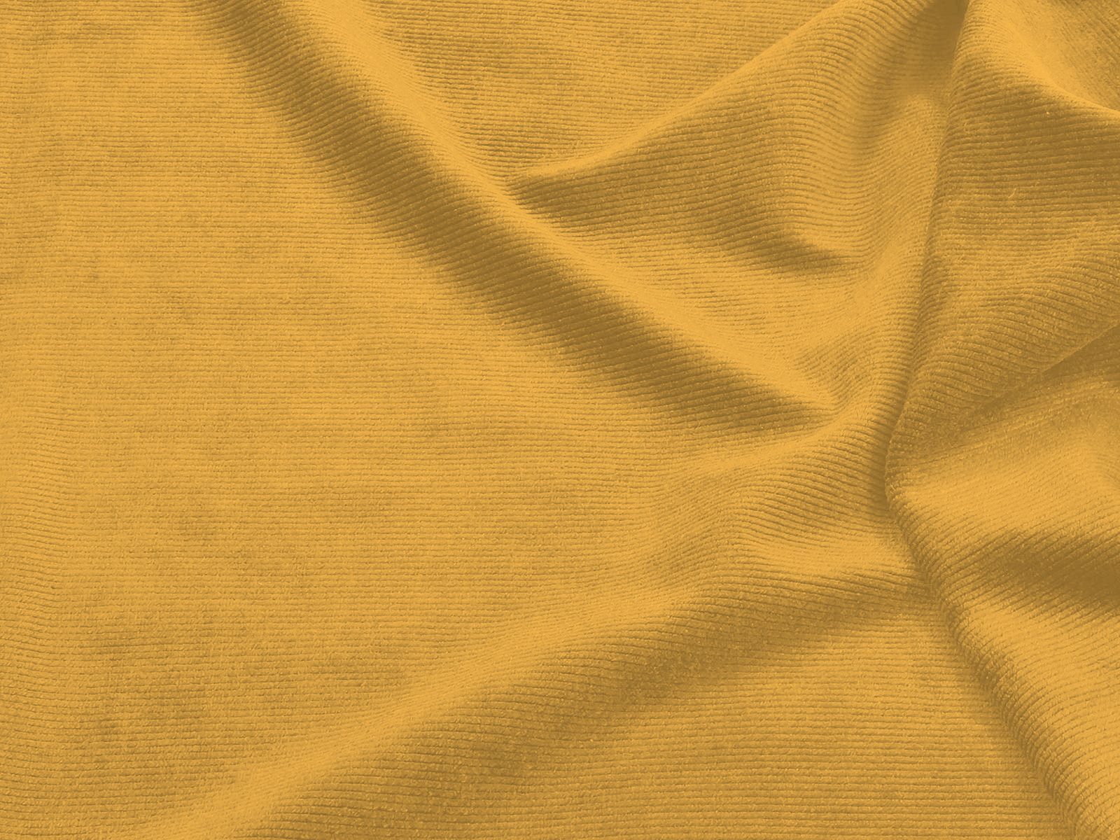IMAGE-L