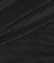 IMAGE-T