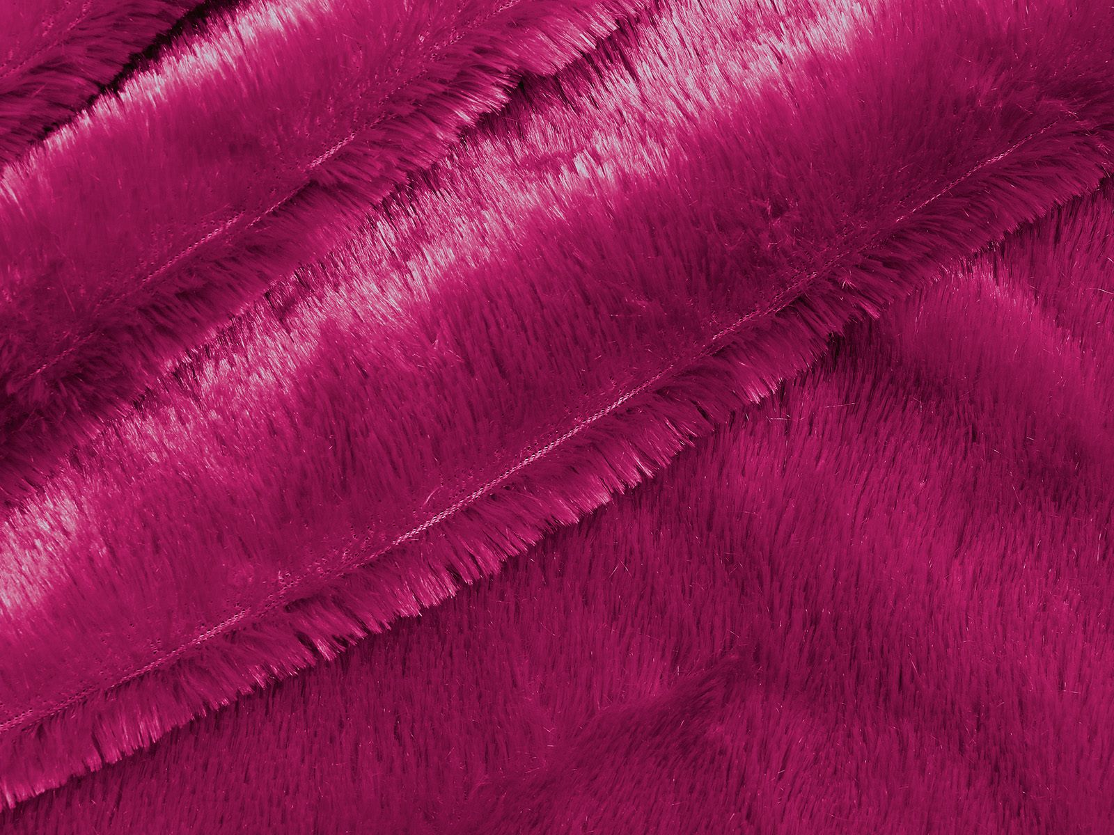 IMAGE-L