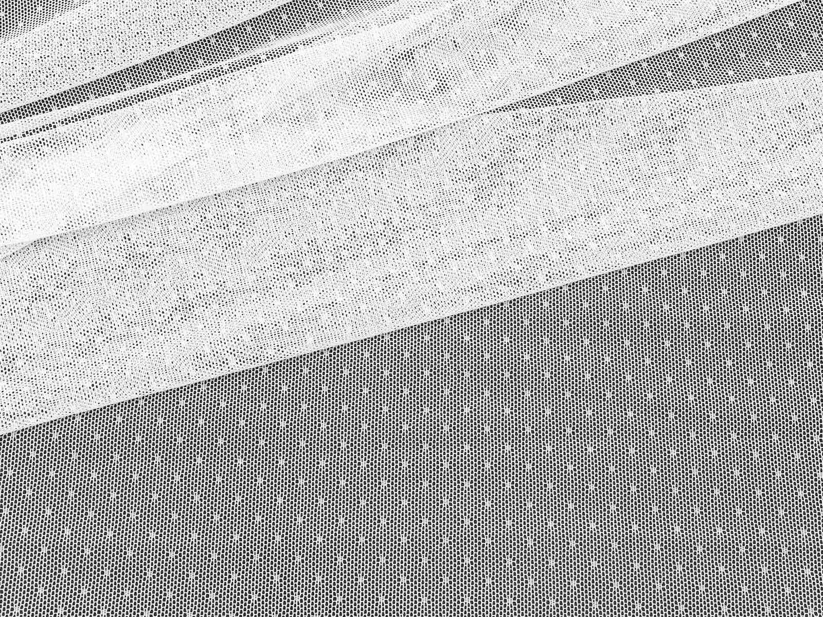 IMAGE-L