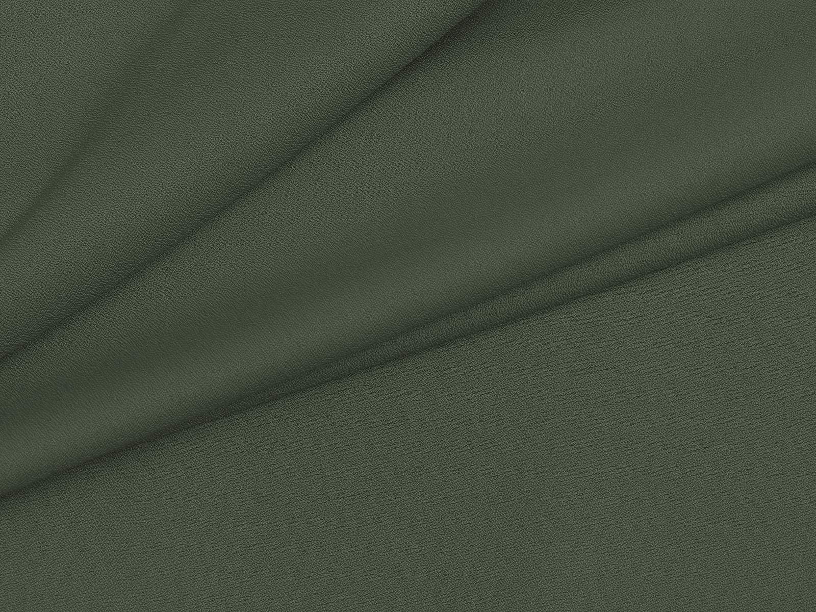 IMAGE-L