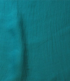 IMAGE-T