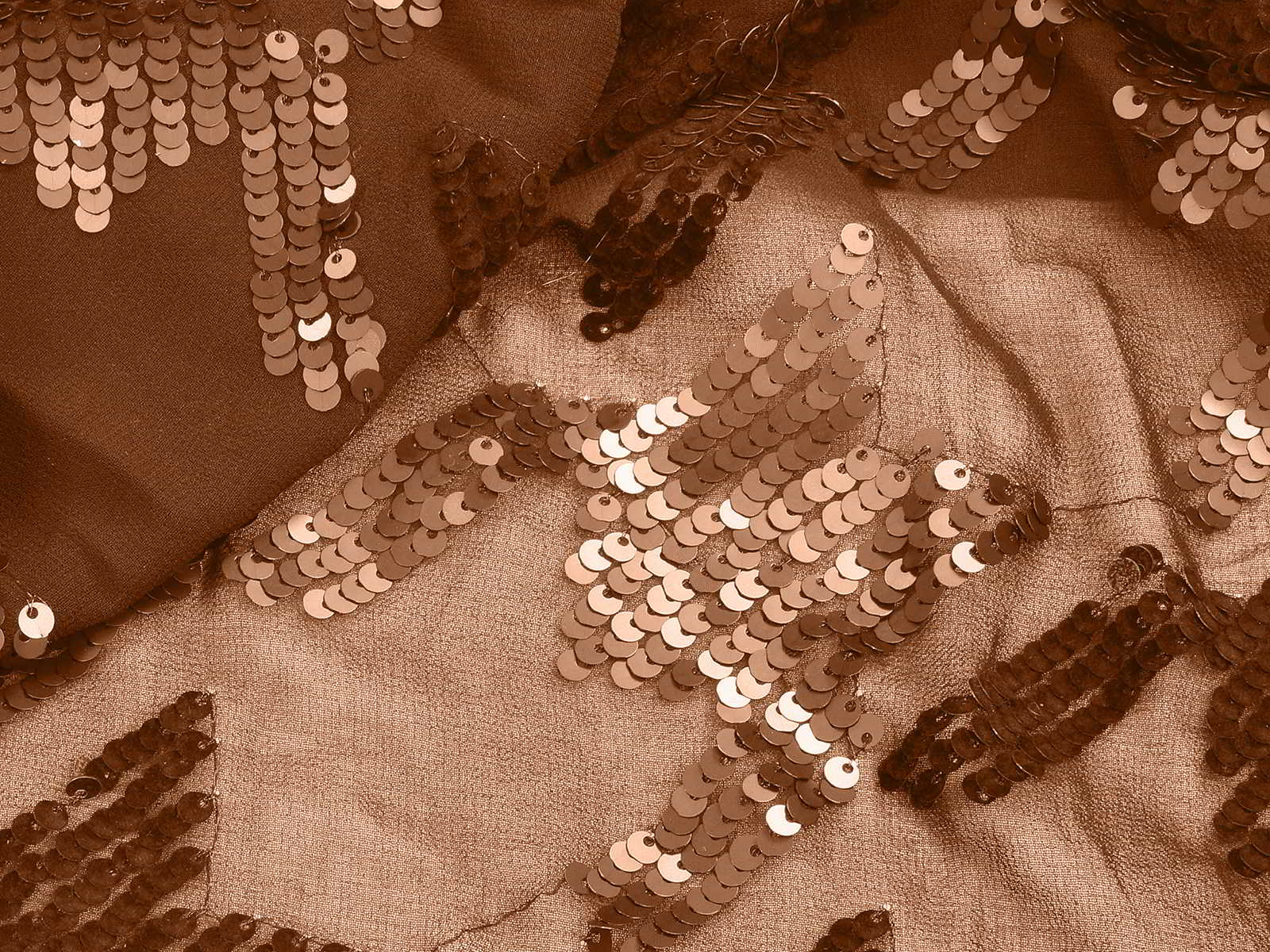 IMAGE-L