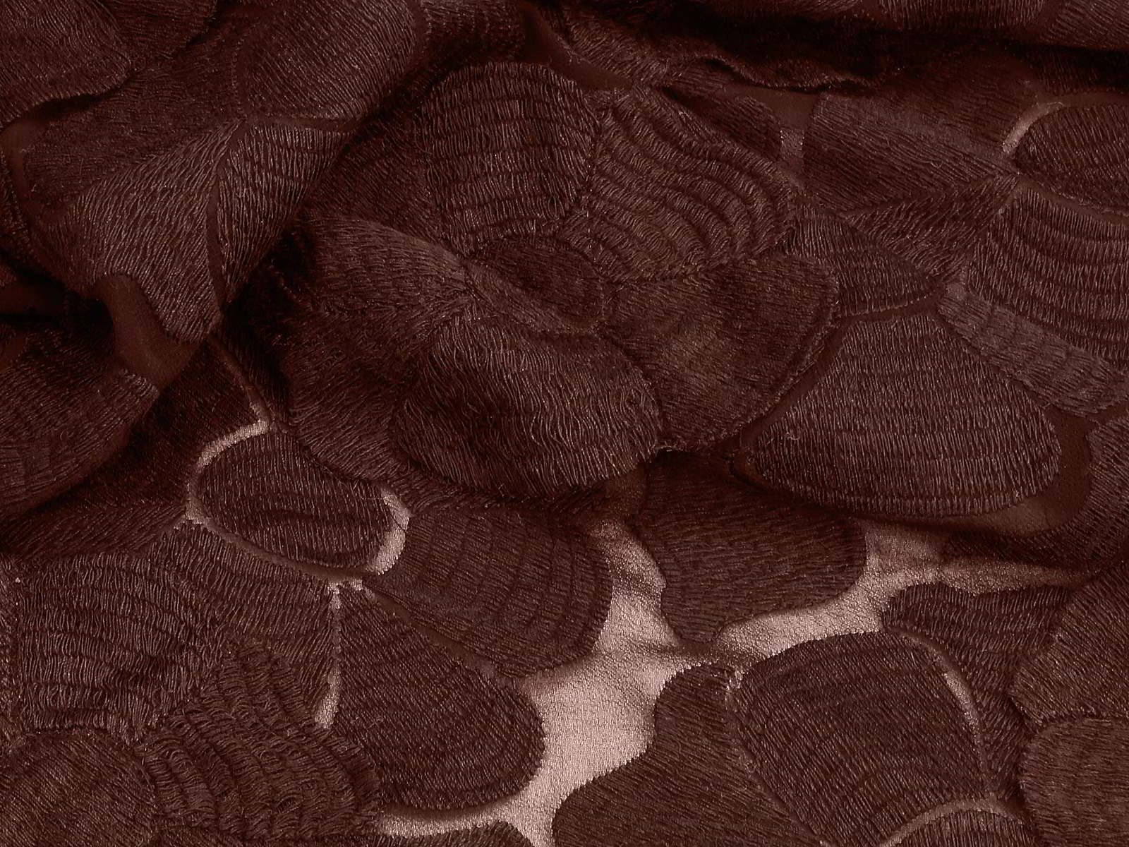 IMAGE-L