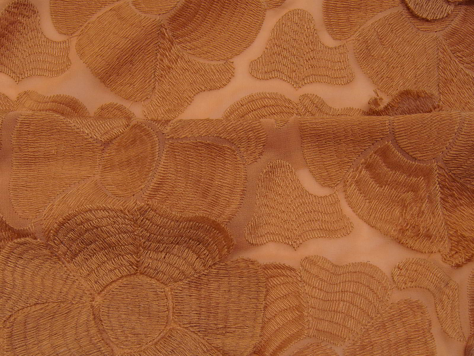 IMAGE-L