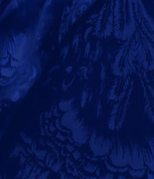 IMAGE-T