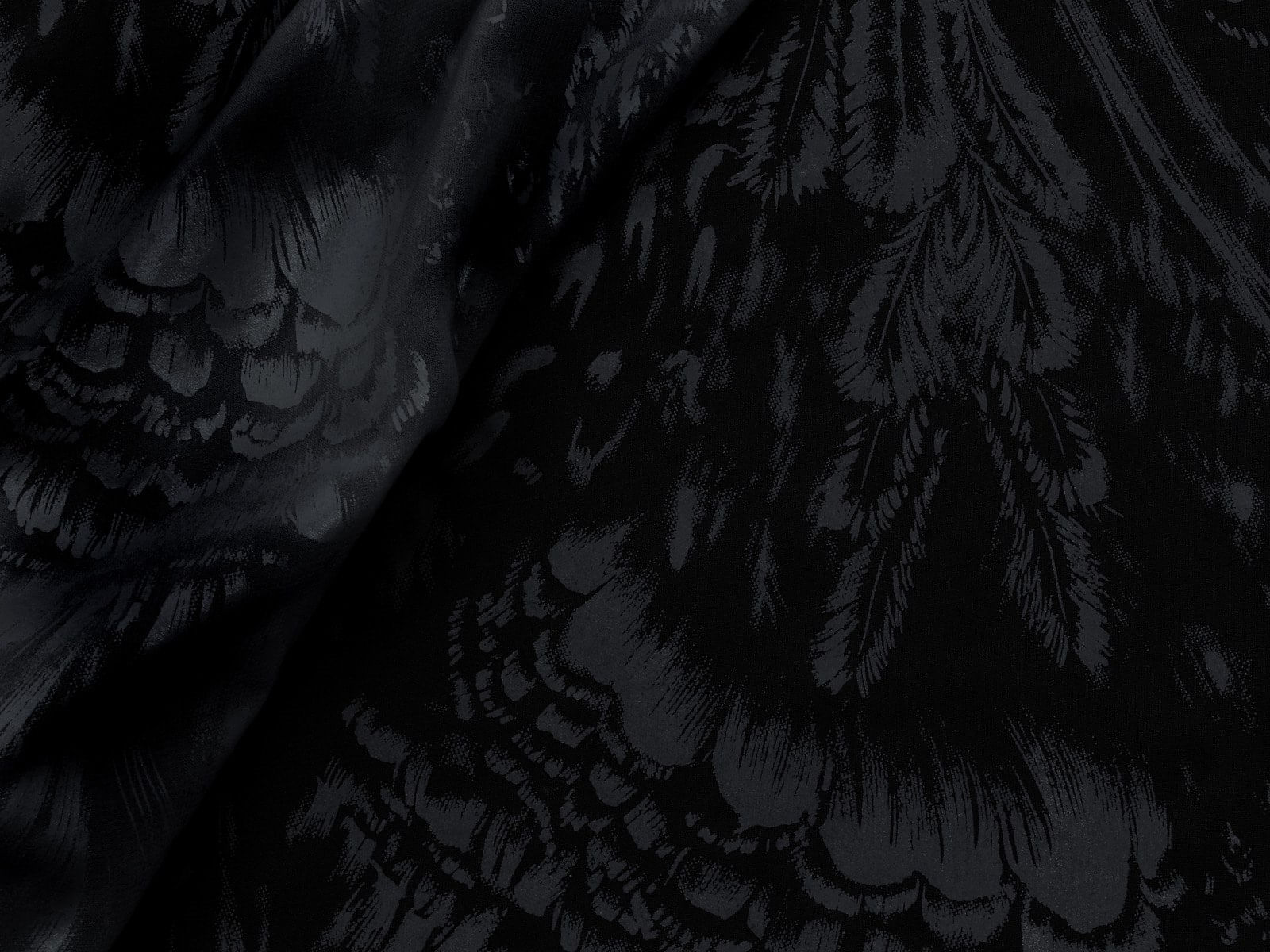IMAGE-L
