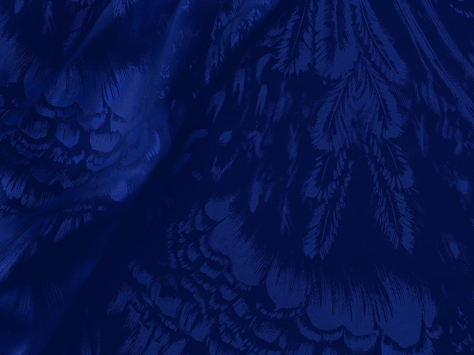 IMAGE-L