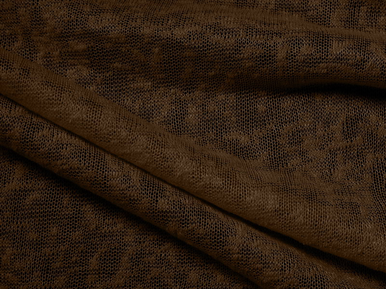 IMAGE-L
