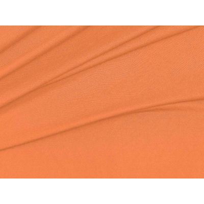 IMAGE-L