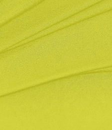 IMAGE-T