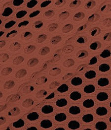 IMAGE-T
