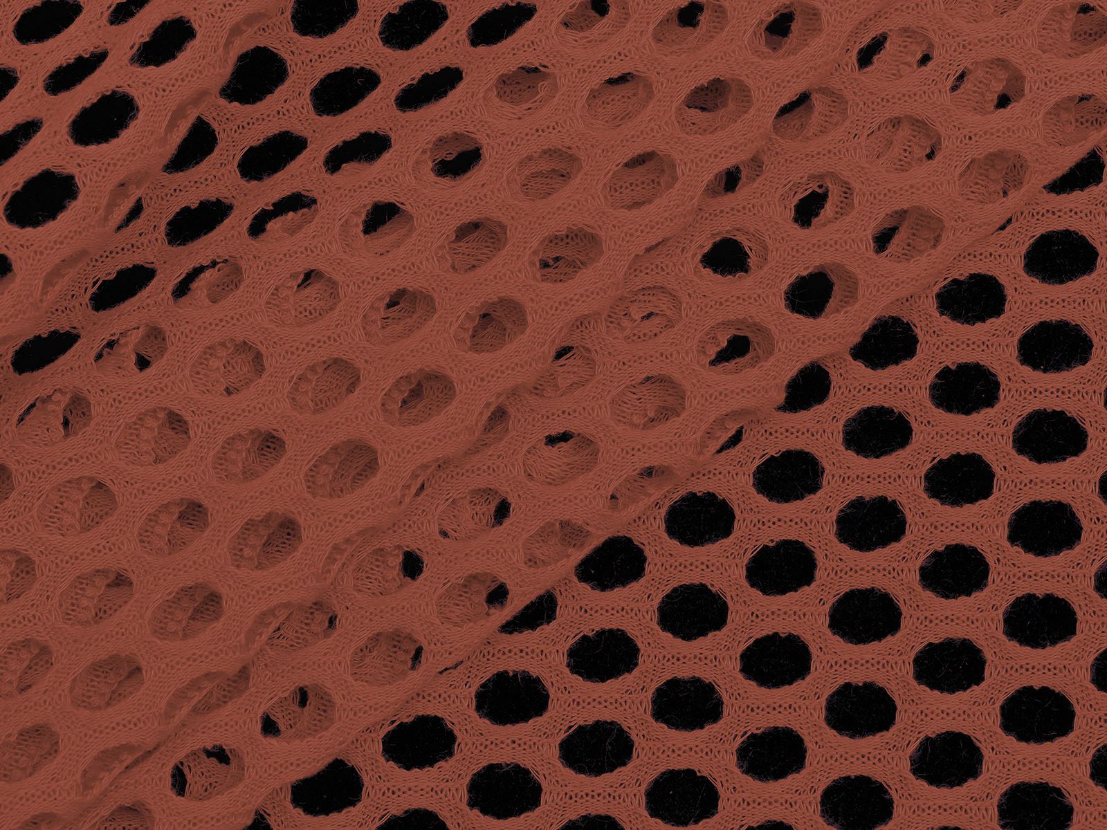 IMAGE-L