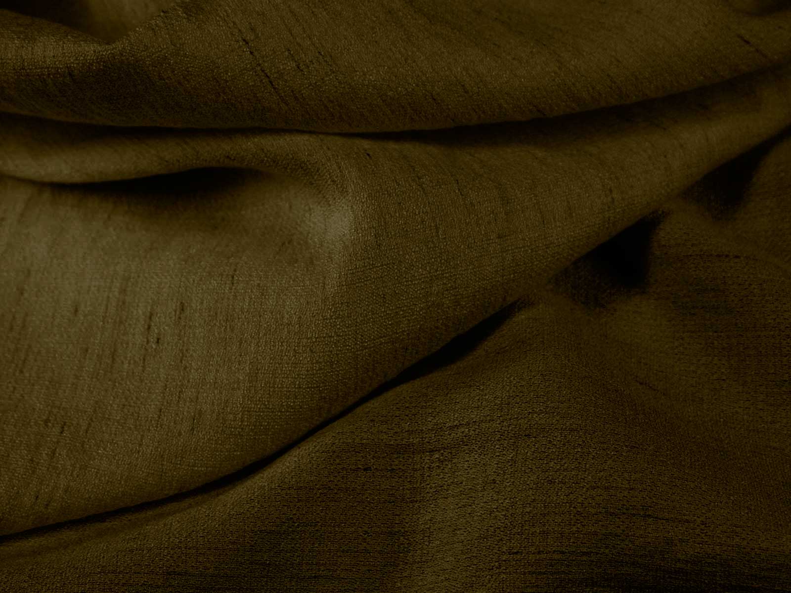 IMAGE-L