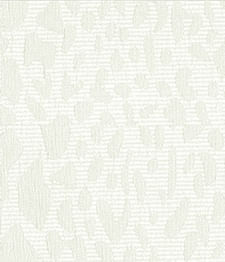 IMAGE-T
