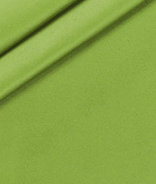 IMAGE-T