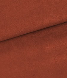 IMAGE-T