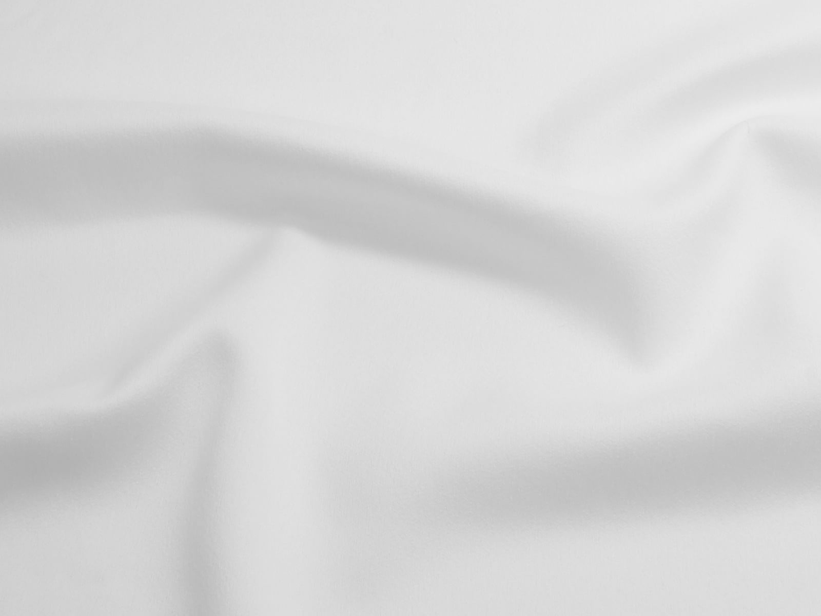 IMAGE_L