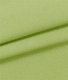 IMAGE_T