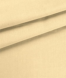 IMAGE_T