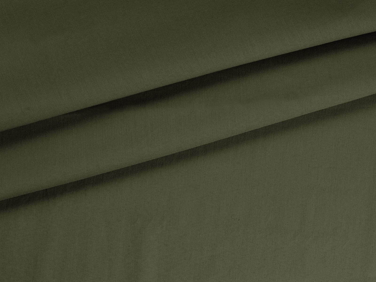 IMAGE-L