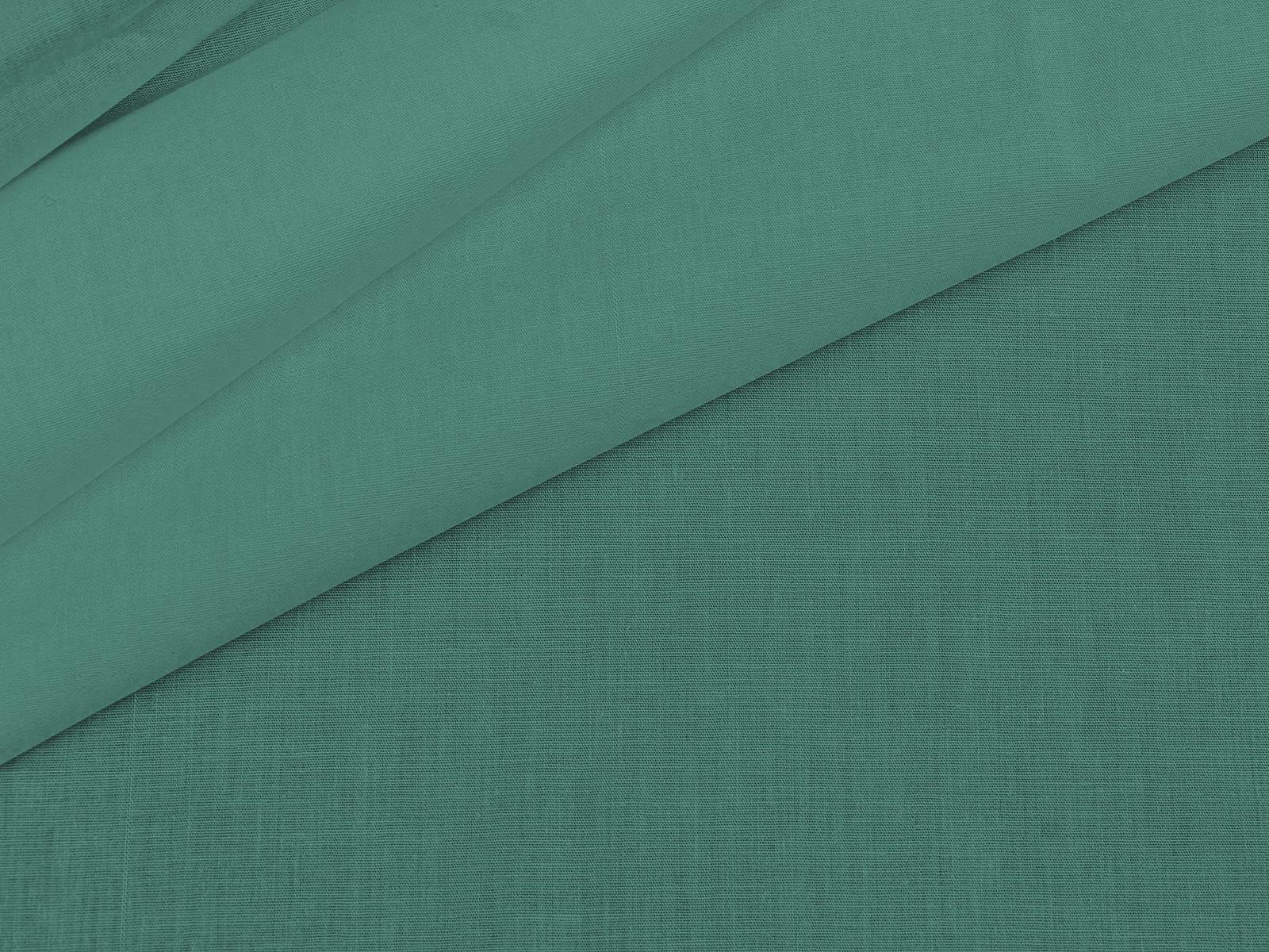 IMAGE-L
