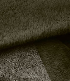 IMAGE_T