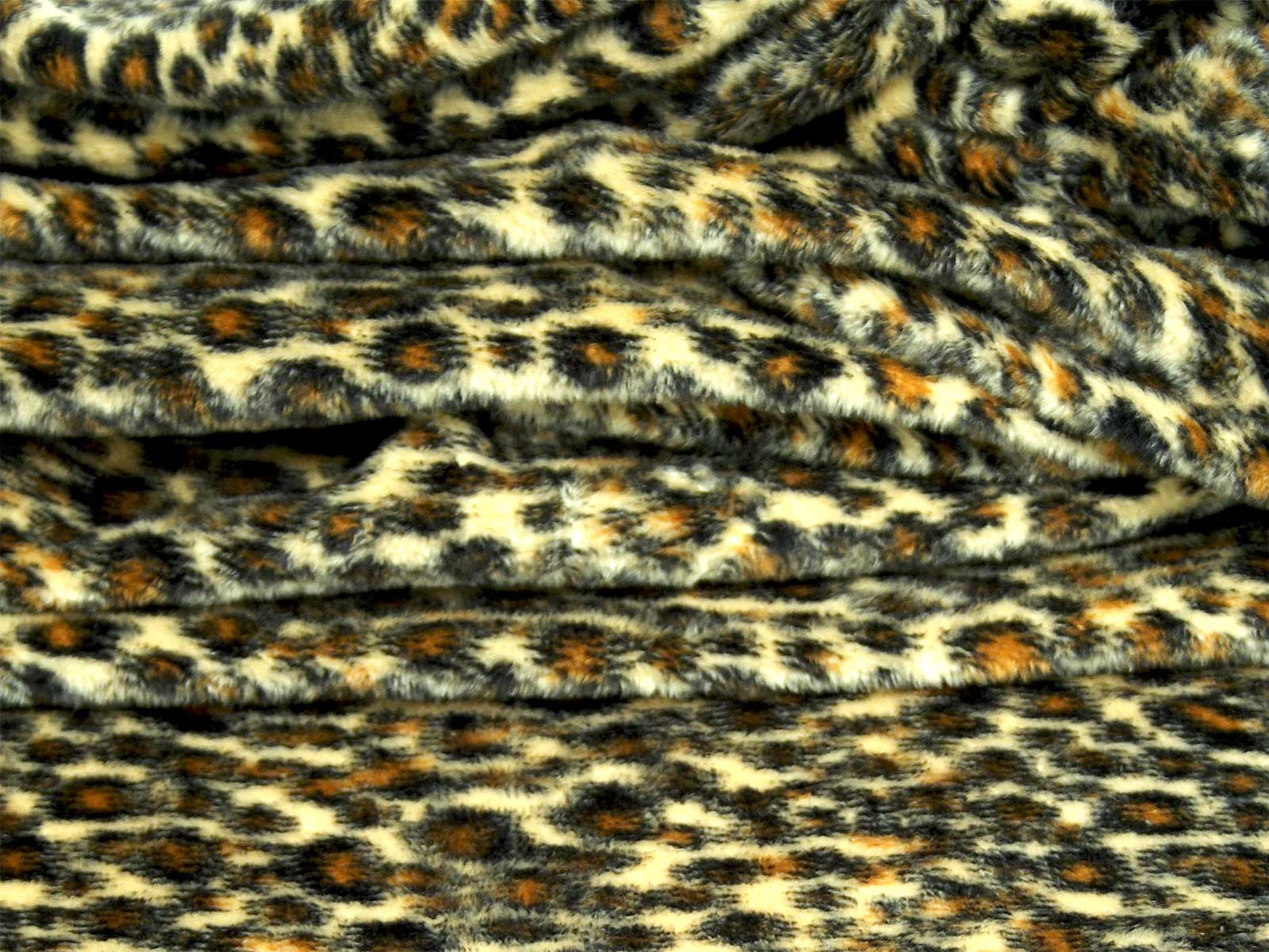 IMAGE_L