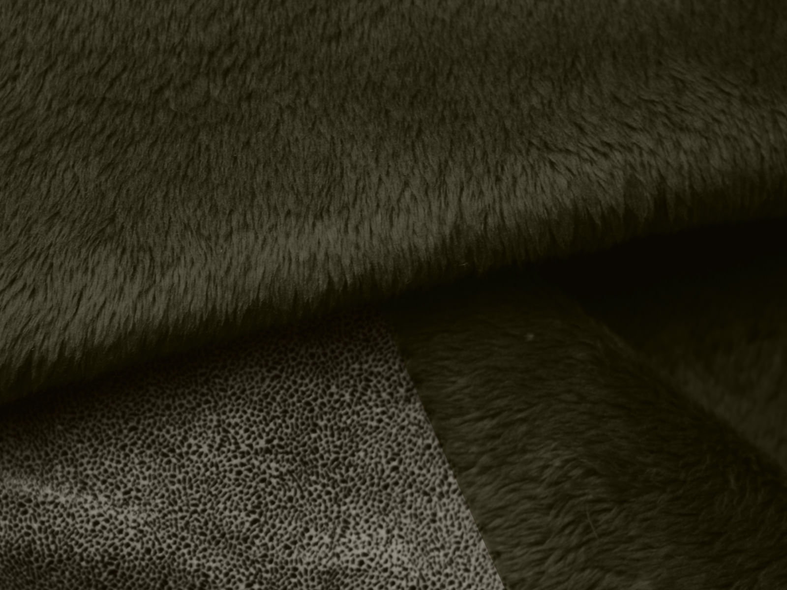 IMAGE_L