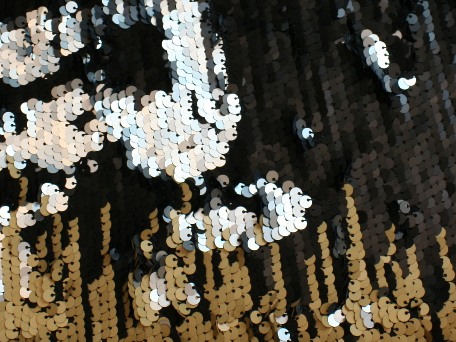 IMAGE_L