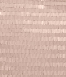 IMAGE_T
