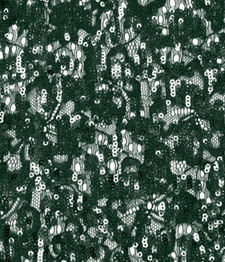 IMAGE_T