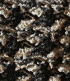 IMAGE_T