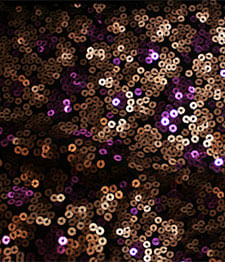 IMAGE_T