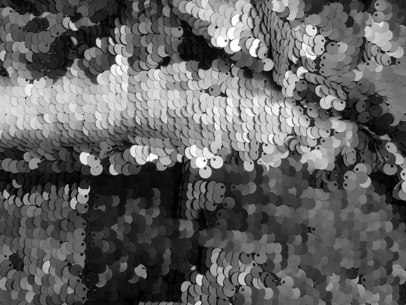 IMAGE_L