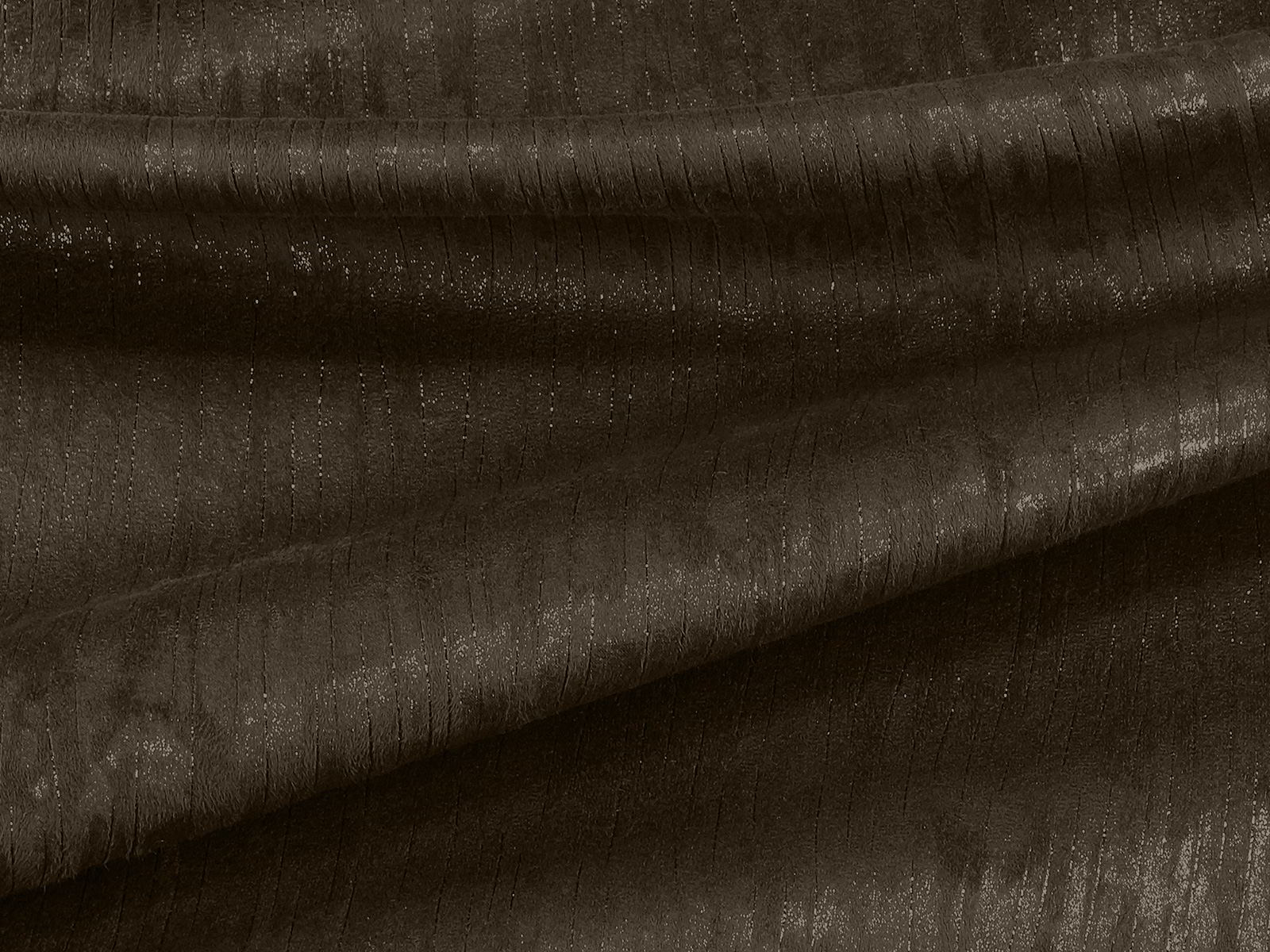 IMAGE_L