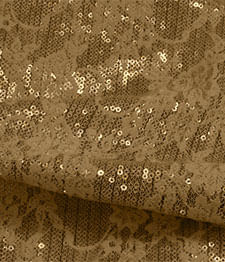 IMAGE_T