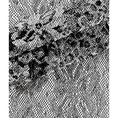 IMAGE_T