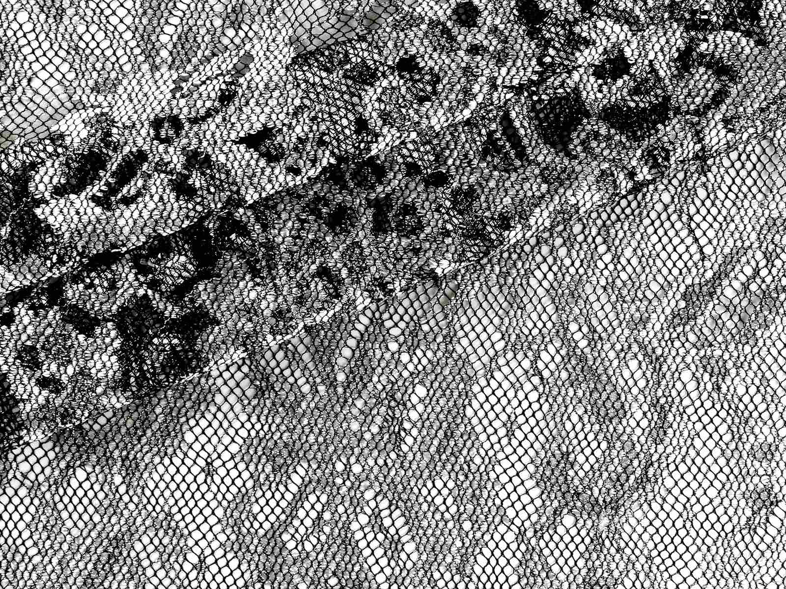 IMAGE_L